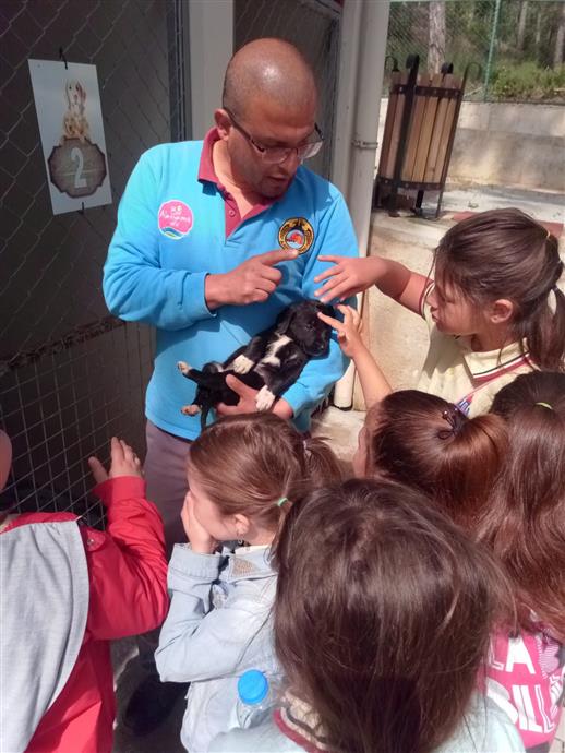 ÇOCUKLAR HAYVAN SEVGİSİNİ ALANYA BELEDİYESİ İLE ÖĞRENİYOR ÇOCUKLAR HAYVAN SEVGİSİNİ ALANYA BELEDİYESİ İLE ÖĞRENİYOR