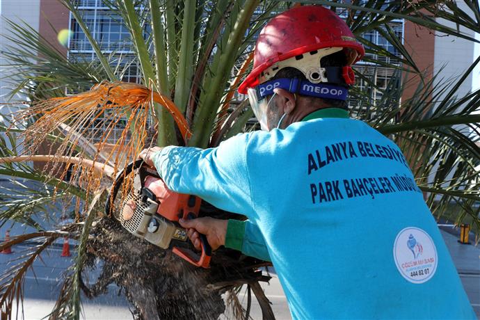 ALANYA BELEDİYESİ SOKAĞA ÇIKMA YASAĞINI FIRSATA ÇEVİRDİ ALANYA BELEDİYESİ SOKAĞA ÇIKMA YASAĞINI FIRSATA ÇEVİRDİ